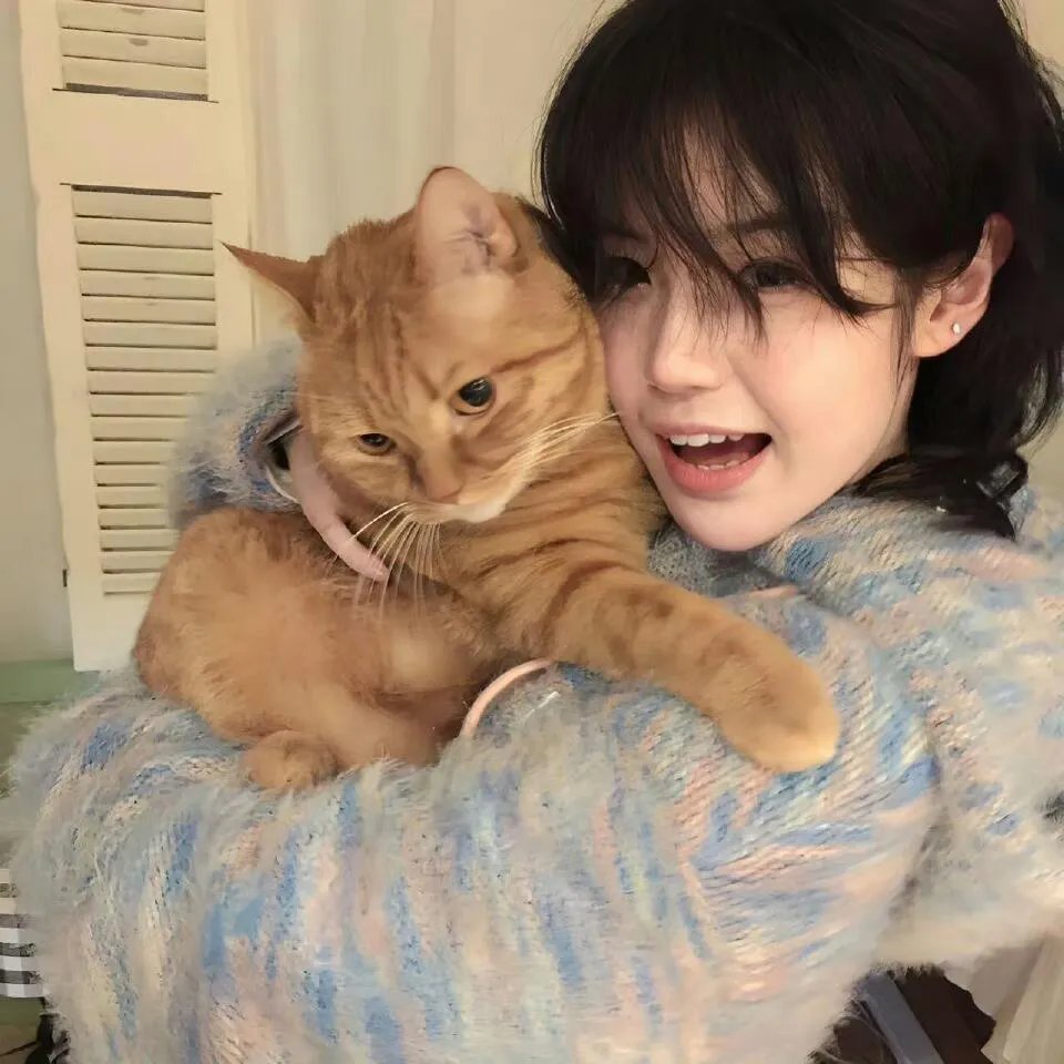 你是我的命中注定2020